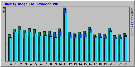 Hourly usage for November 2018