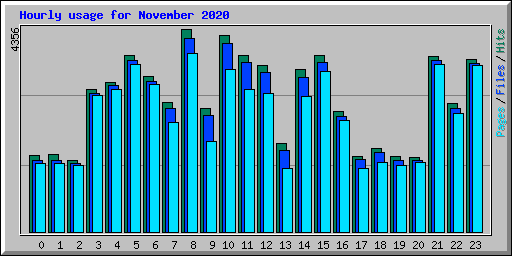 Hourly usage for November 2020