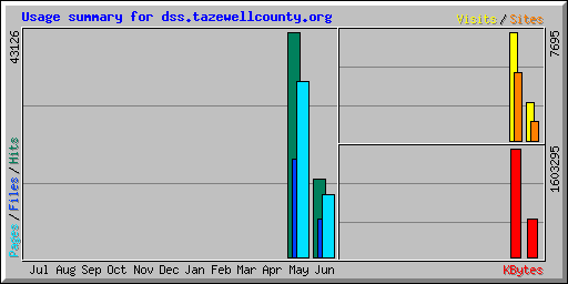 Usage summary for dss.tazewellcounty.org